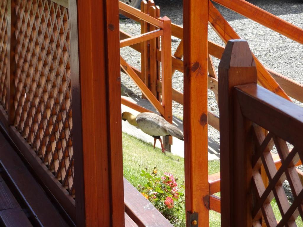 Cabanas De Nene Aparts El Calafate Ngoại thất bức ảnh