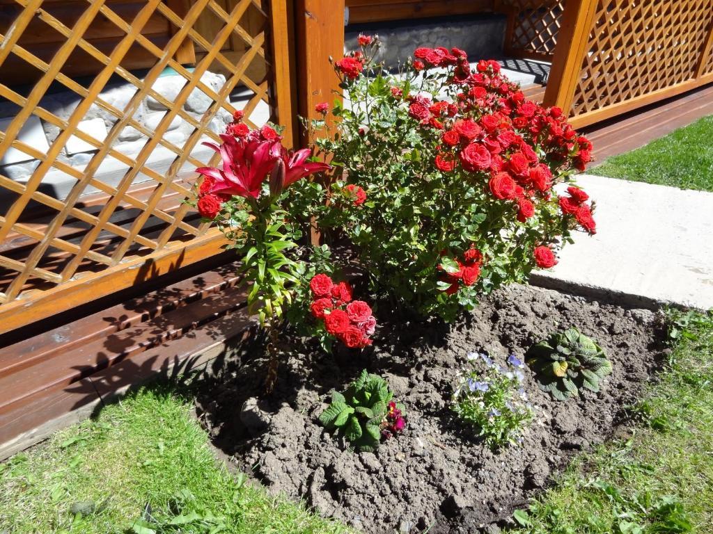 Cabanas De Nene Aparts El Calafate Ngoại thất bức ảnh